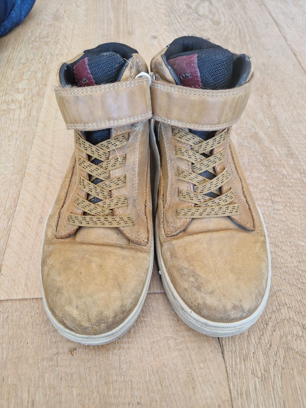 Geox Scarpe per ragazzi: Herbstschuhe Geox, Gr.37 – Usato da Eggersriet venduto da Sdosi 1