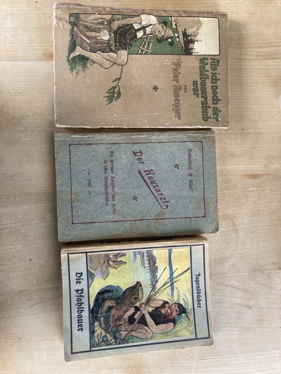 Libri: 3 antike Bücher – Usato da Herisau venduto da Sifgana