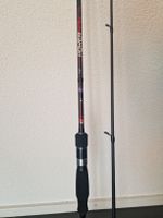 Nomura Ronin Power Spin Angelrute 2.28m 7-29g