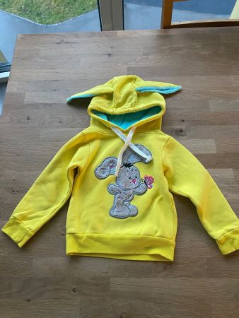 Kaputzen Pulli