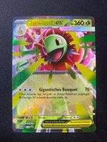 Mega Meganie ex 34 Promo - Meganium - Black Star Promos - DE