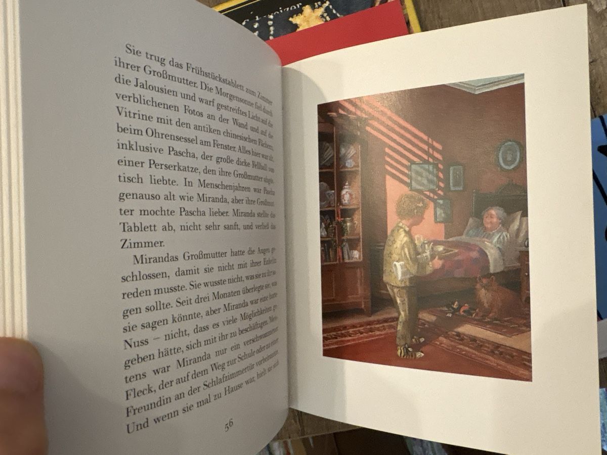 Bücher: Das wundersame Schneefeuer Buch gebunden – Neu (gemäss Beschreibung) aus Schaffhausen von Reporter 2