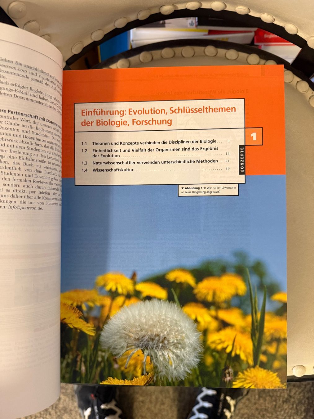 Libri: Campbell Biologie – Usato da Dietikon venduto da Buchantiqdietikon 1