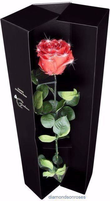 Tutte le decorazioni: Restposten Premium Deko-Rosen 6 Stk – Nuovo e nell'imballaggio originale da Seewen SZ venduto da pakosshop 8
