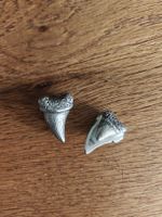 Earweights / Hanger