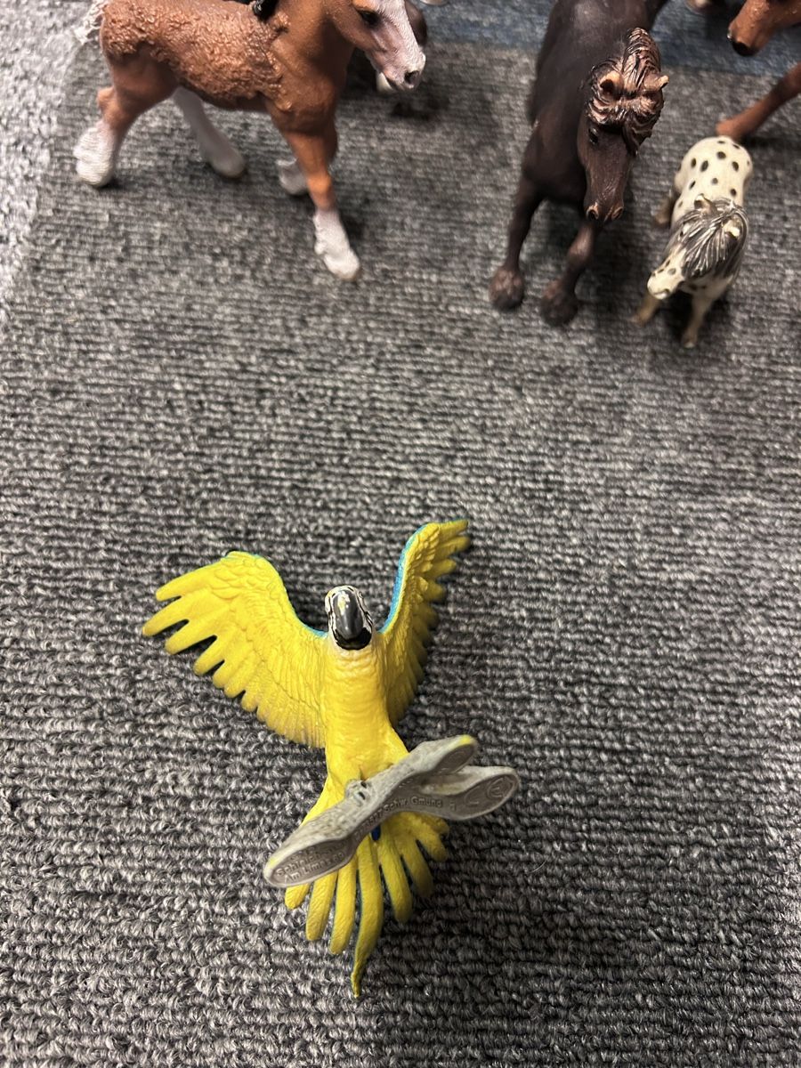 Schleich Statuette: Tierfiguren Set Pferde und Papagei – Usato da Kreuzlingen venduto da Faebuu 2