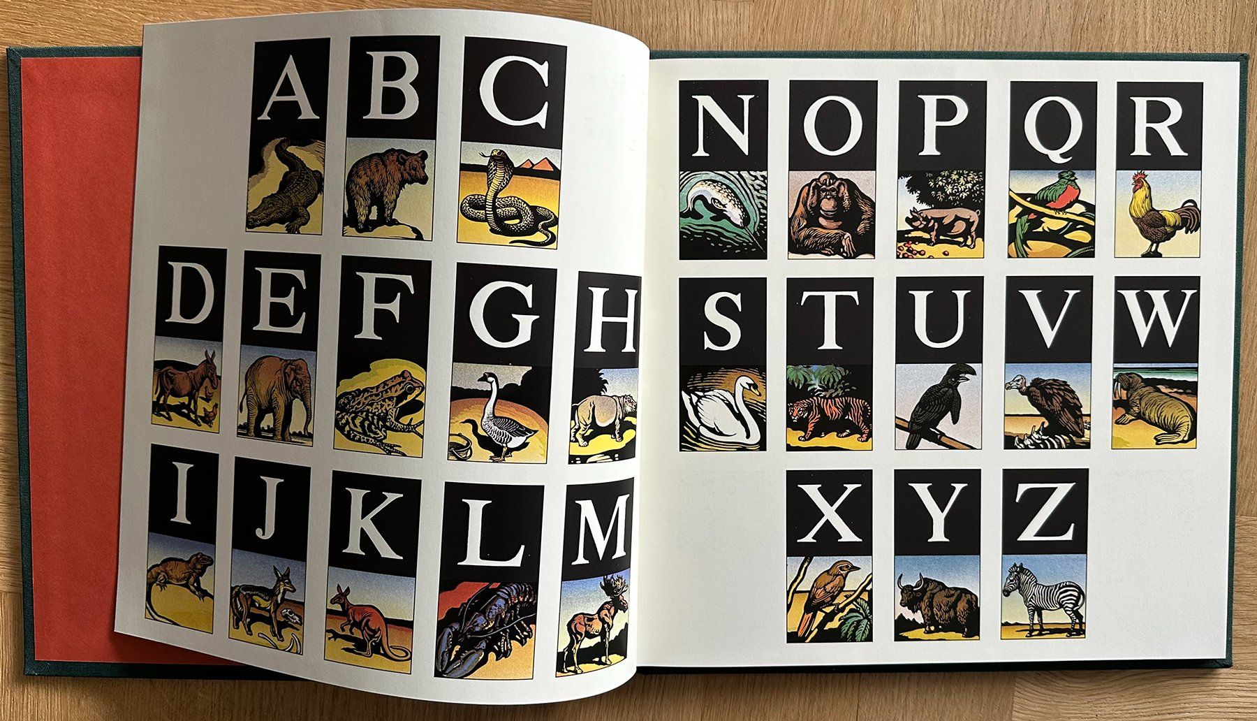 Libri: Christopher Wormell ein ABC Buch Verlag Sauerländer – Usato da Lützelflüh-Goldbach venduto da blauerkranich 1