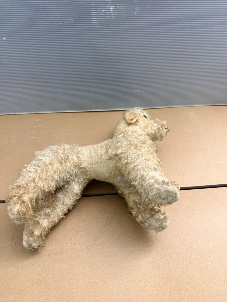 Giocattoli: Alter Plüschhund – Usato da Solothurn venduto da NUVICO 3
