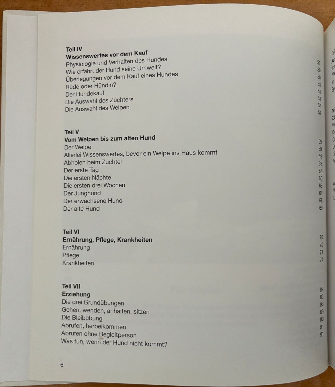 Bücher: Wild Rosemarie, Terrier - Niederläufer – Neu (gemäss Beschreibung) aus Sarnen von Livres 4