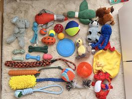 Grosses Hundespielzeug set - 29 Teile 