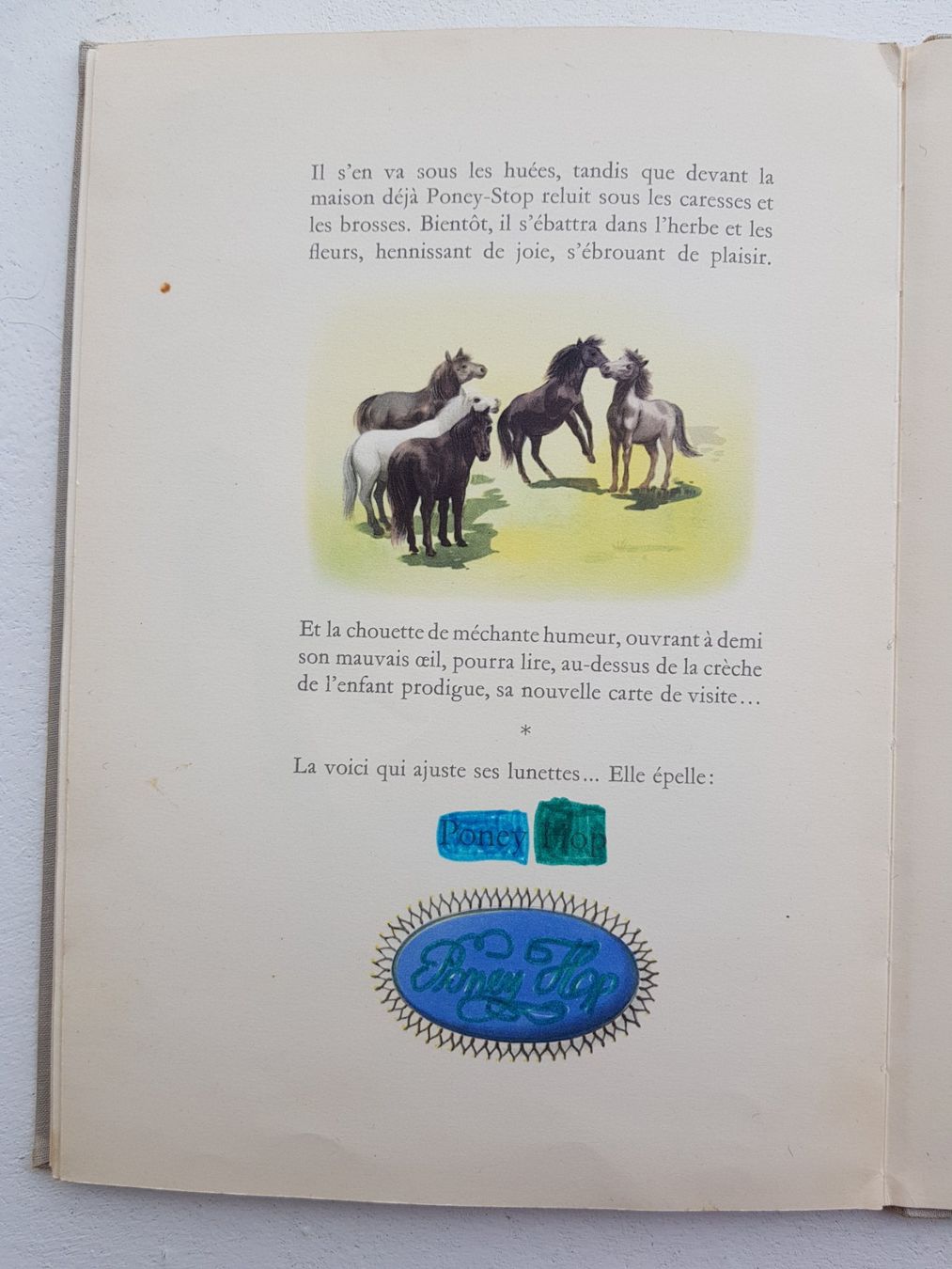 Libri: L'histoire du petit poney stop – Difettoso da Lausanne venduto da LasloH 4