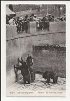AK ca. 1920 Bern - Der Bärengraben