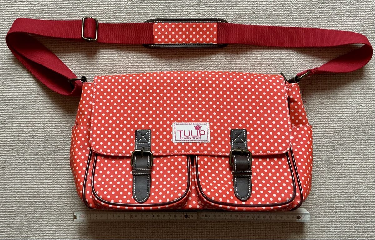 Altro in  Abbigliamento & Accessori: Schultertasche von Tulip – Usato da Büsserach venduto da Rosalie.1