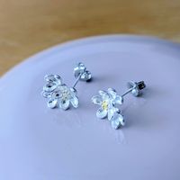 Silver 925 Ohrstecker 