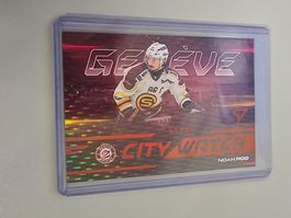25/26 Sportzoo NLA Series2 City Watch/95 Rod Servette