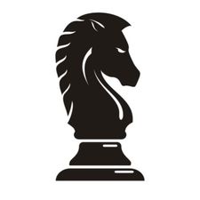 Profile image of Steinpilot