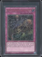 Yu-Gi-Oh! Fallgruben-Albtraum Der Fallenstellerin / AP06