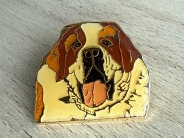 Pin  Bernhardiner Hund
