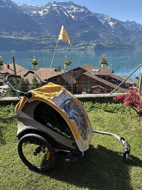Burley Rimorchi: Burley Cub – Usato da Oberried Brienz venduto da carinemillaard
