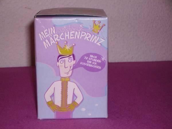 Figurines: Mein magischer Märchenprinz – Neuf (Voir description) à Neuchâtel par Dualseele 3