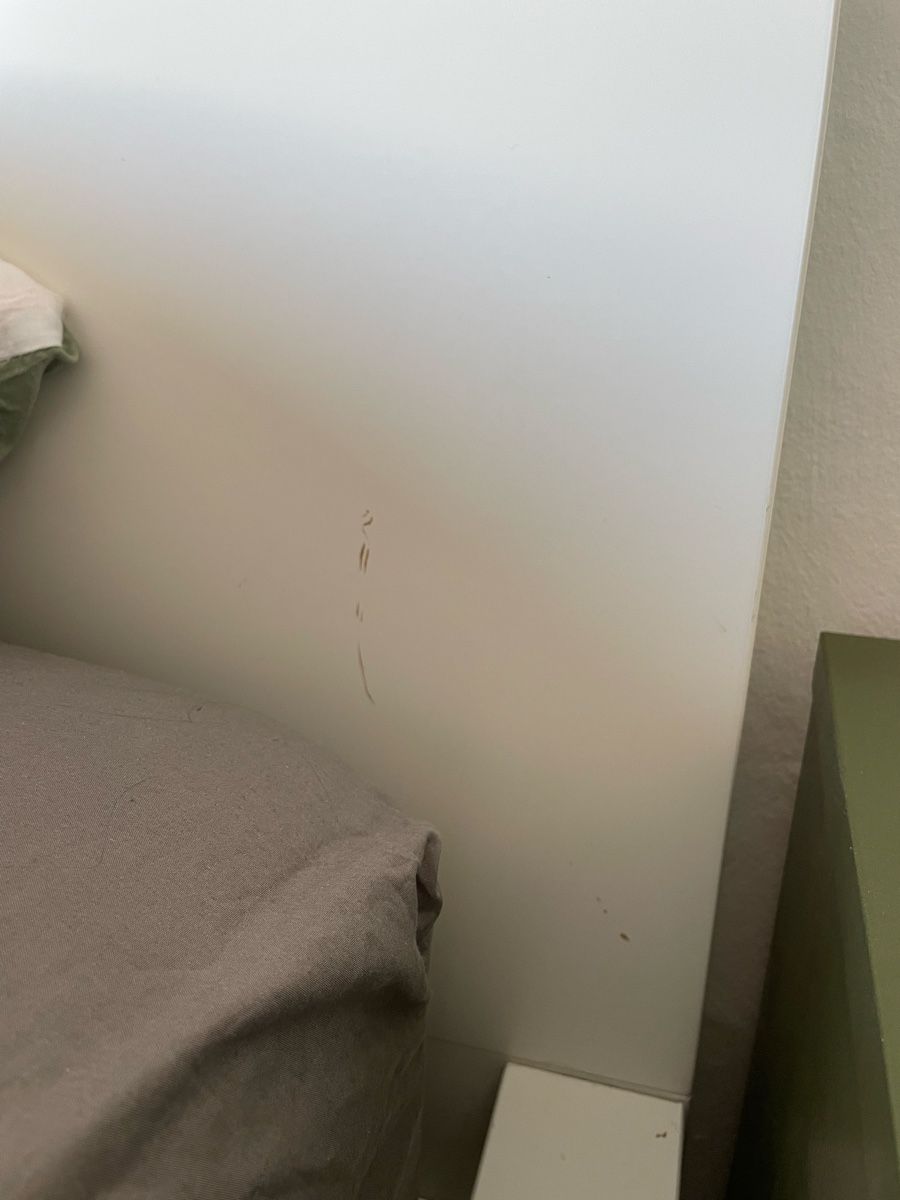 Letti: Malm Ikea Bett, 140x200 – Usato da Stein AG venduto da t050525 1