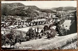 LIESTAL - Blick vom Bienenberg 1971
