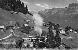Brienz BE Planalp Dampfbahn bahn