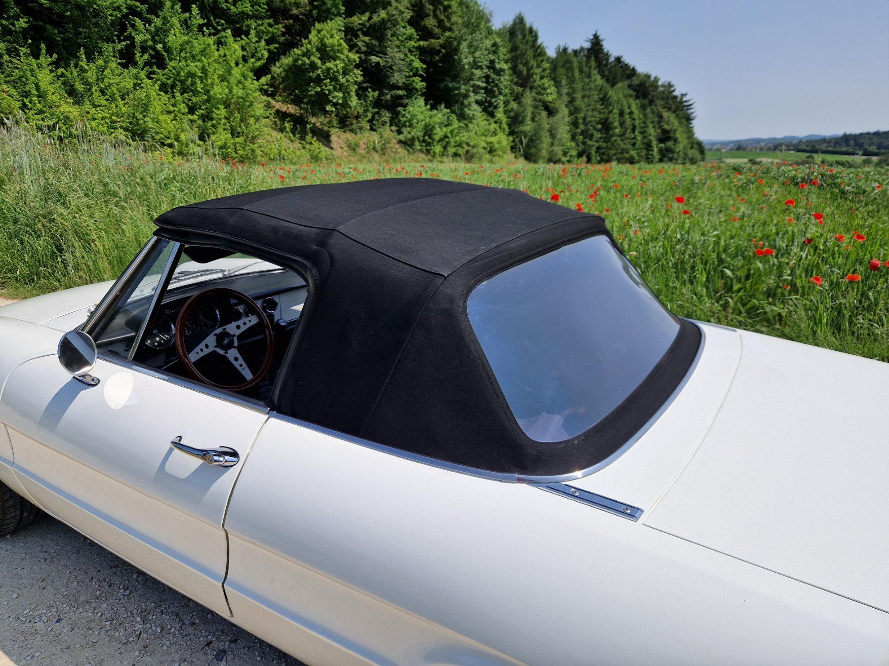 Automobili: Alfa Romeo Spider 1600 – Usato da Bützberg venduto da luna_062007 4