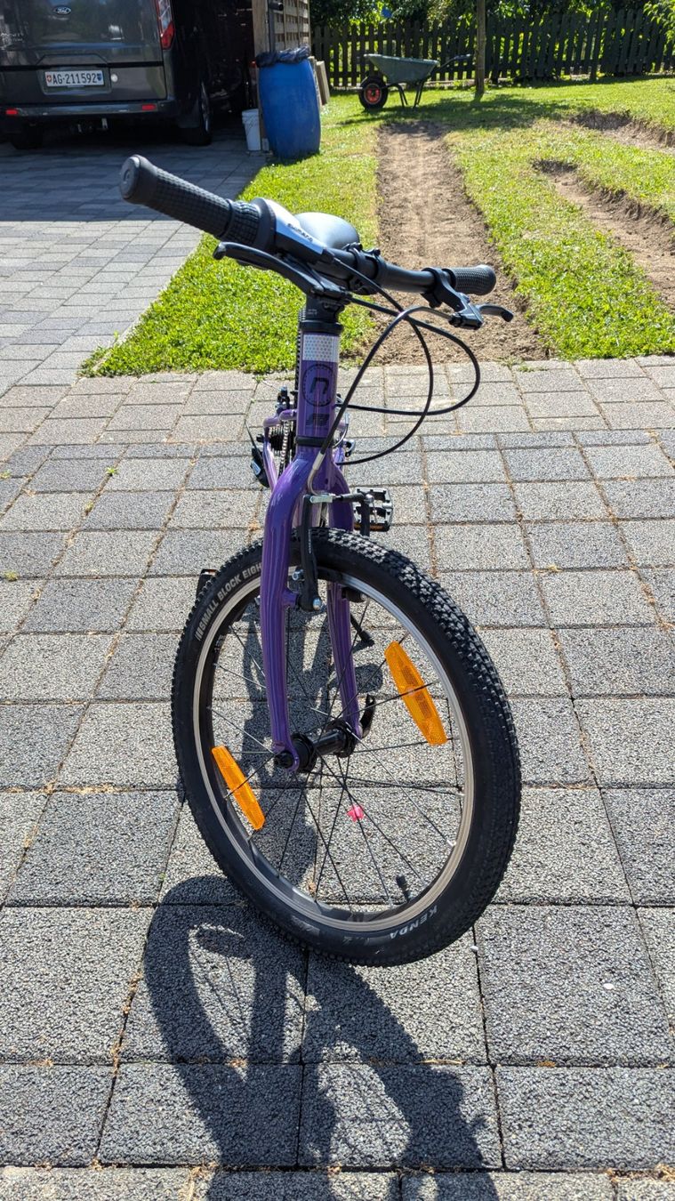 Naloo Biciclette: Naloo Chameleon 20'' – Usato da Veltheim AG venduto da Sandro68 1
