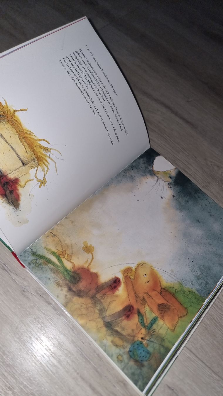 Libri: Die 10 schönsten Bilderbuch-Geschichten – Usato da Wigoltingen venduto da Zuckerfee84 5