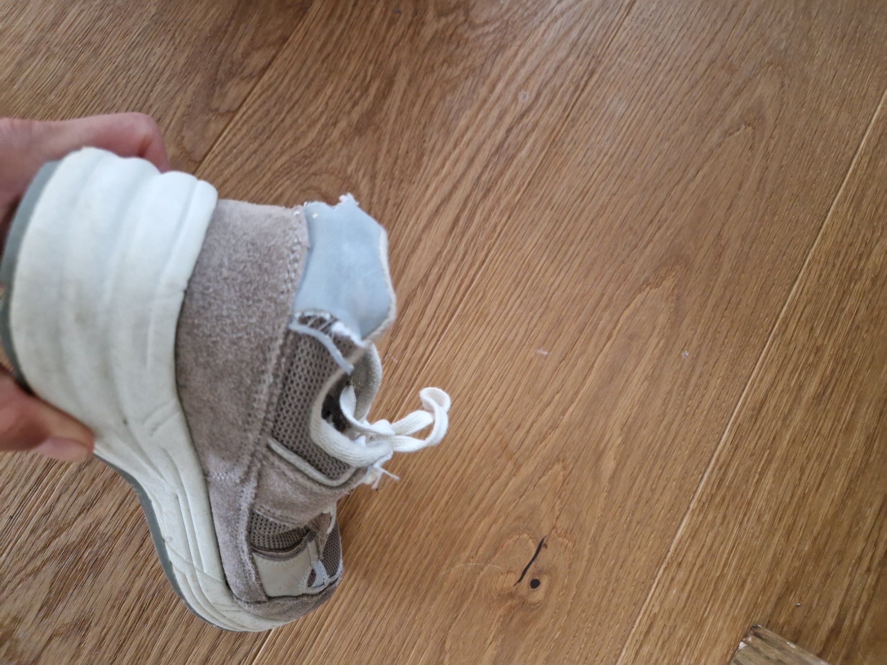 Zara Schuhe für Mädchen: Mädchen Sneakers Zara Grösse 36 – Gebraucht aus Eschenbach SG von SanFranciscoCalifornia 7