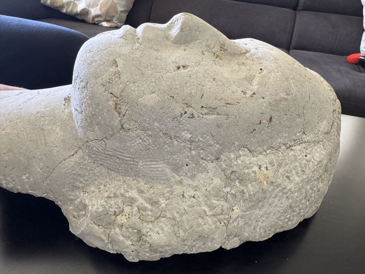 Sculture & Statue: Abstrakte Kopfskulptur aus Dolomit – Usato da Buchs AG venduto da ChrizZa 3