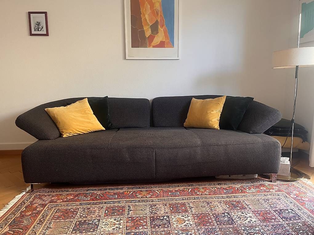 Sofas: Vintage Design Sofa – Gebraucht aus Bern von Doddoxvi