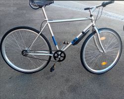 Herrenvelo, Silber