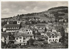 Wald Zürich Teilansicht Dorf ungebraucht tolle alte Karte