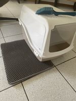 Accessoires pour chat 