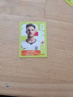 Panini Sticker ENG10