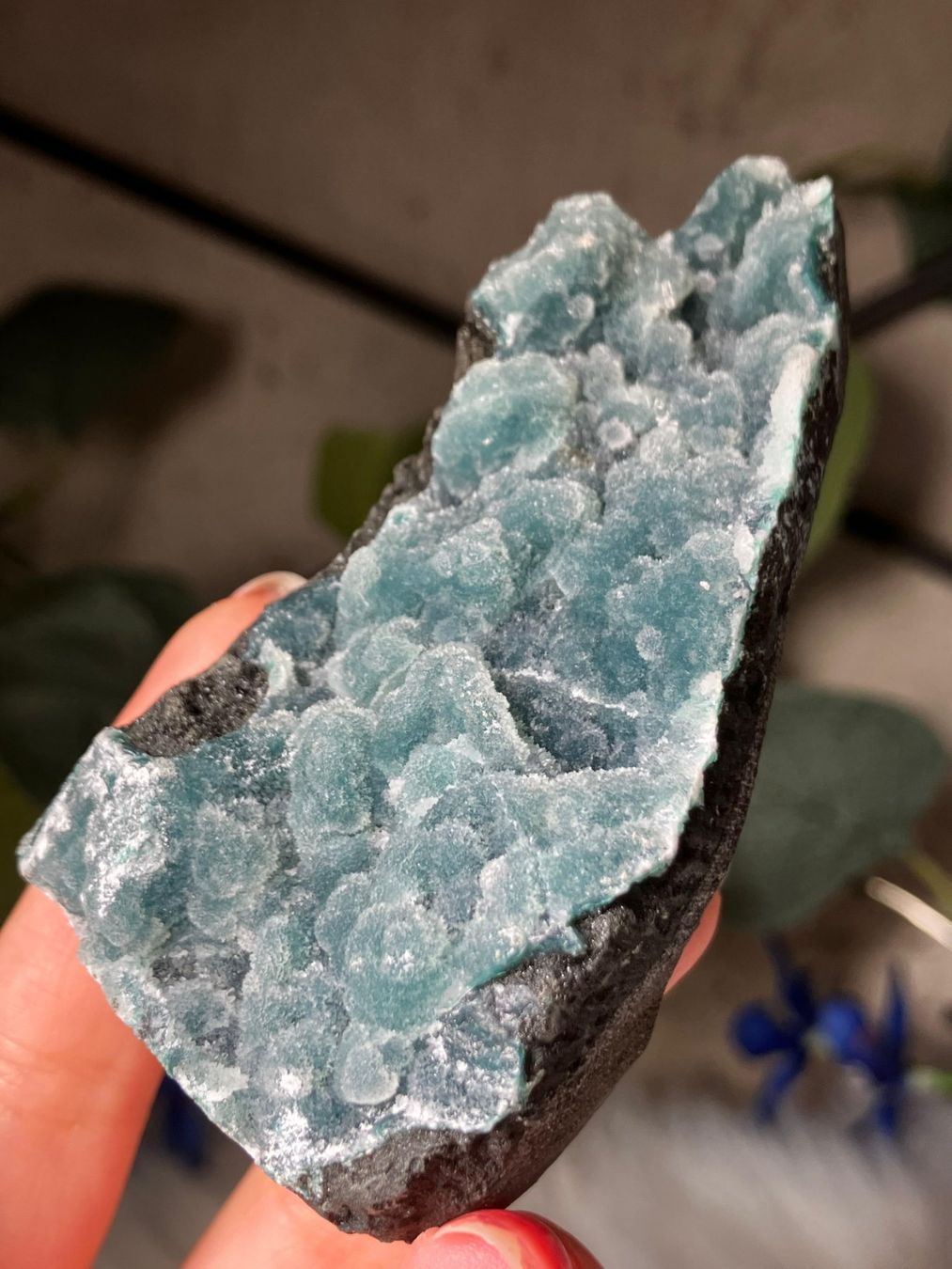 Minerali & Pietre curative: Grüner Chalcedon-Stalaktit – Nuovo (secondo la descrizione) da Neuheim venduto da m.hald 5