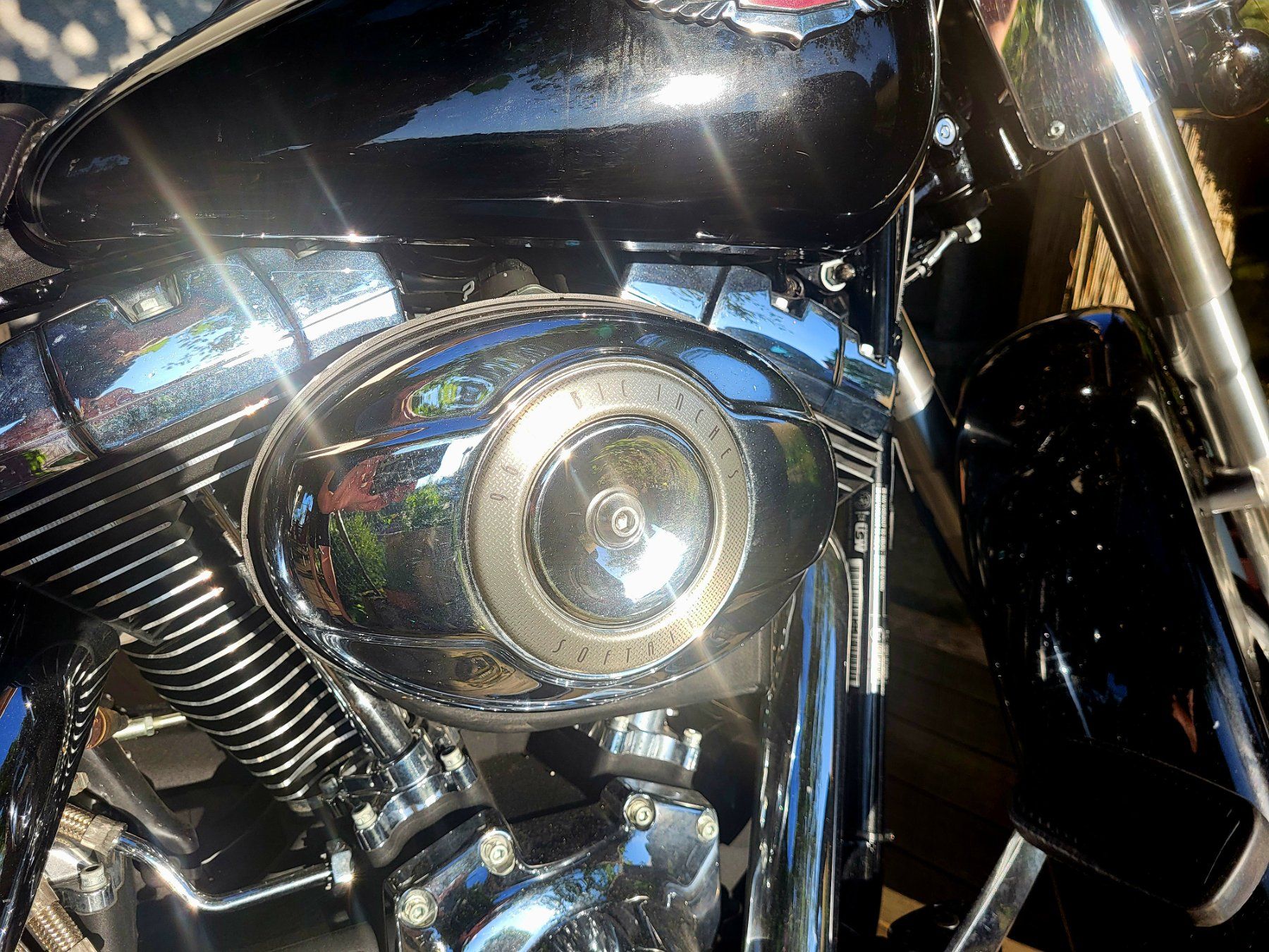 Harley-Davidson Chopper: Harley Davidson Softail FLSTN – Usato da Liebistorf venduto da Howie881 5