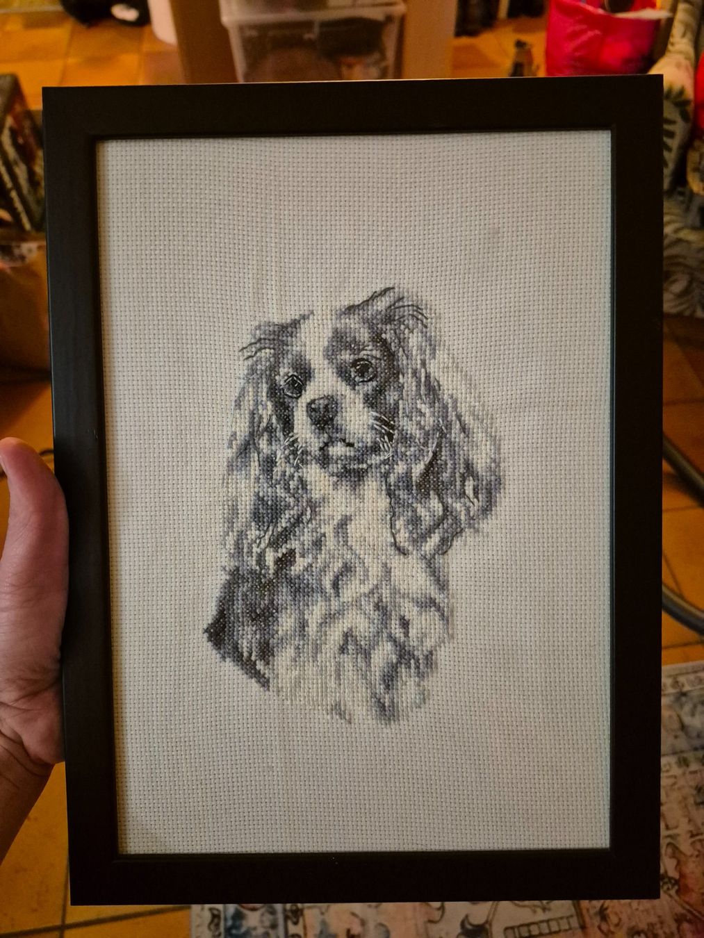Tutte le decorazioni: Broderie chien "Cavalier King Charles" – Usato da Riaz venduto da Murielbhs