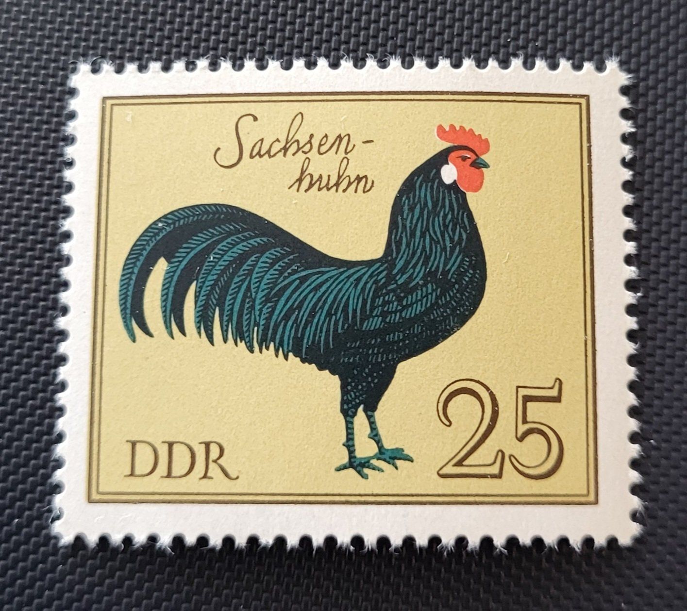 Tutti i francobolli: DDR 1979 briefmarke – Nuovo (secondo la descrizione) da St Gallen venduto da Stampsalshobby
