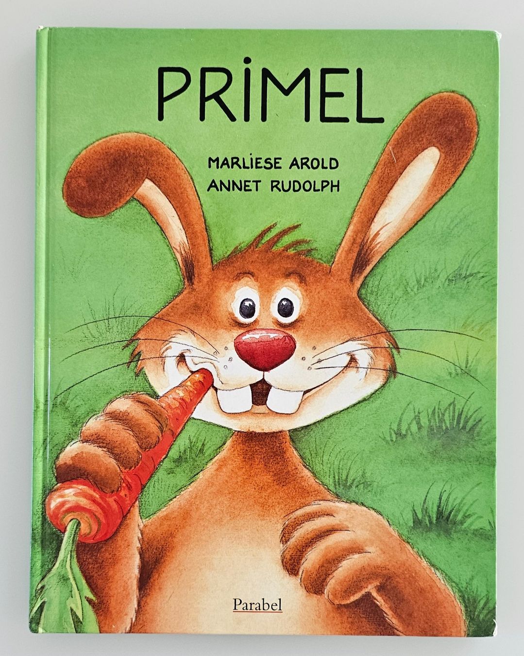 Libri: 6 Kinderbücher / Der Regenbogenfisch / Primel usw. – Usato da Meggen venduto da Roadrunnerz4 4