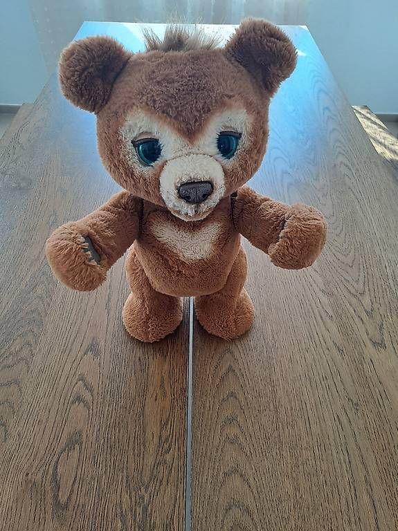 Spielzeuge: FurReal Friends Cubby l'ours interactif  – Gebraucht aus La Chaux-de-Fonds von Pro.Marco2300
