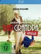 Alle DVDs: Bad Grandpa  (Blu-Ray) – Neu (gemäss Beschreibung) aus Bern von Frebo
