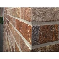 Verblender Feinsteinzeug BRICK BRISTOL 6x25cm *NEU
