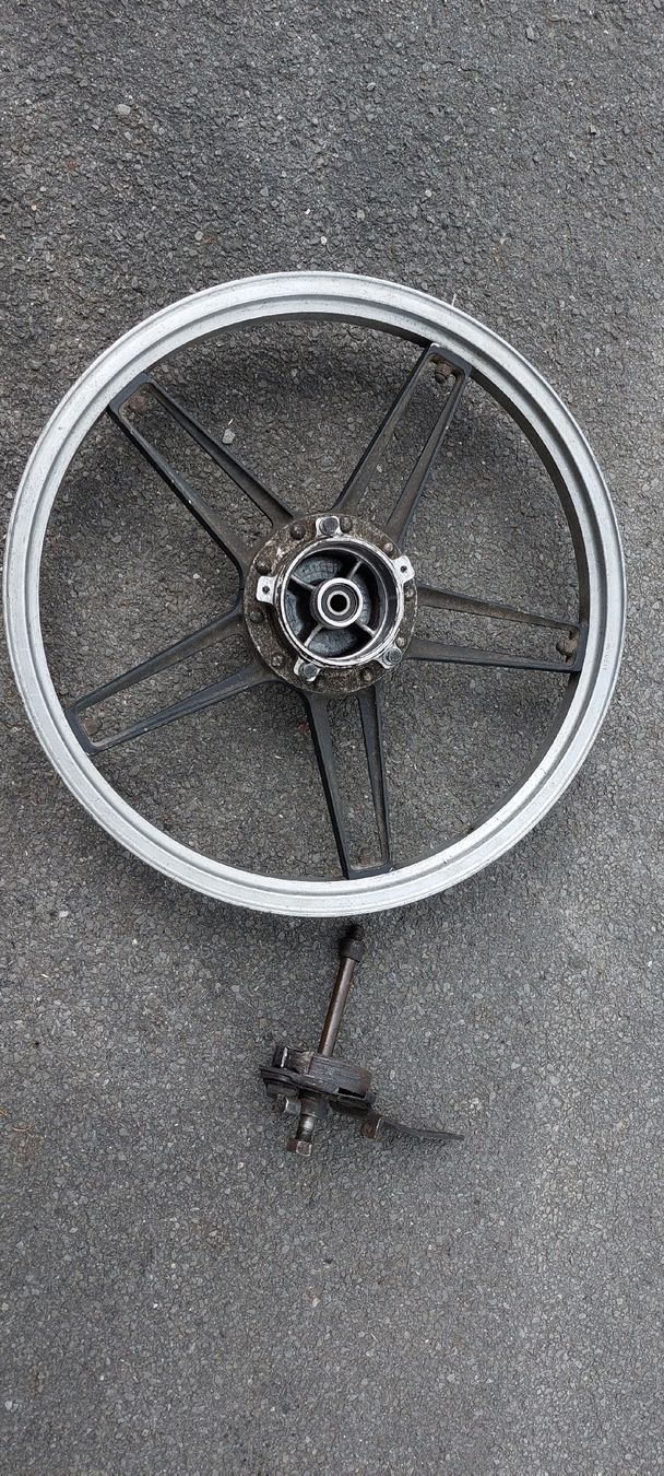 Pneumatici & Ruote complete: Mofa rad 17zoll – Usato da Giswil venduto da Stocki02