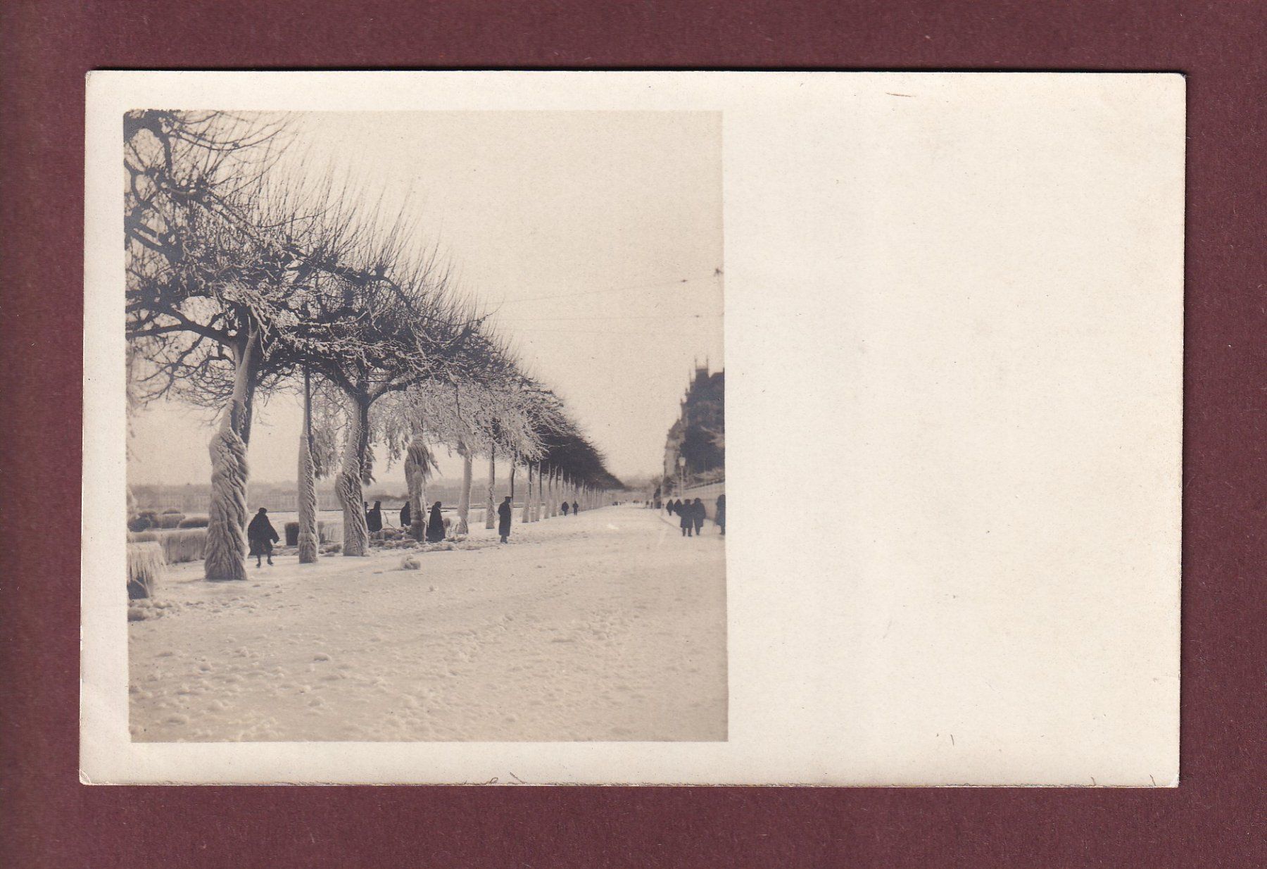 Cartoline postali: Photo - BISE GLACIALE - Bords du Léman – Usato da Pully venduto da nicecards