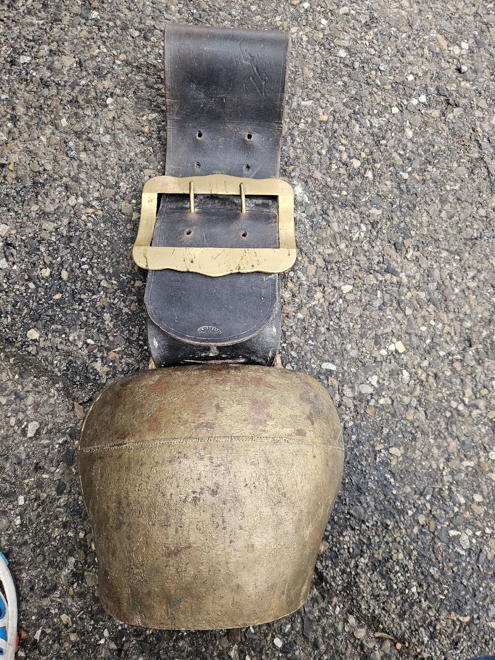 Campanacci mucche: Schelle mattle? – Usato da Schwellbrunn venduto da Rosaroterpanter
