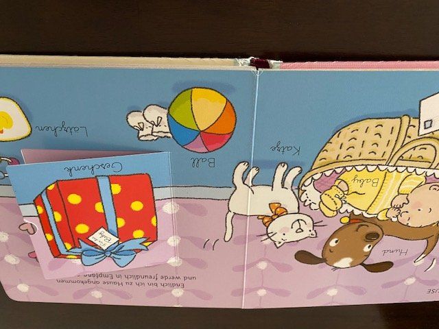 Bücher: Kinderbuch Mein Baby Buch – Gebraucht aus Emmen von Aribini 2