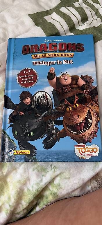 Libri: Dragons Buch – Usato da Buttwil venduto da taenchen80
